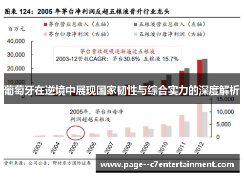 葡萄牙在逆境中展现国家韧性与综合实力的深度解析