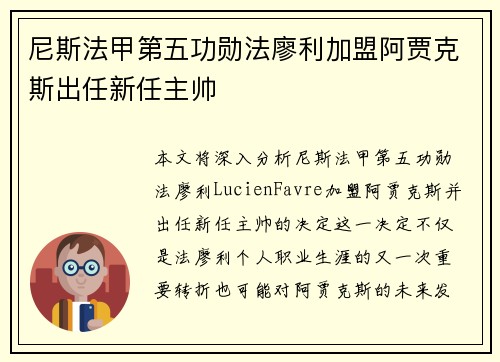 尼斯法甲第五功勋法廖利加盟阿贾克斯出任新任主帅 尼斯法甲第五功勋法廖利加盟阿贾克斯出任新任主帅